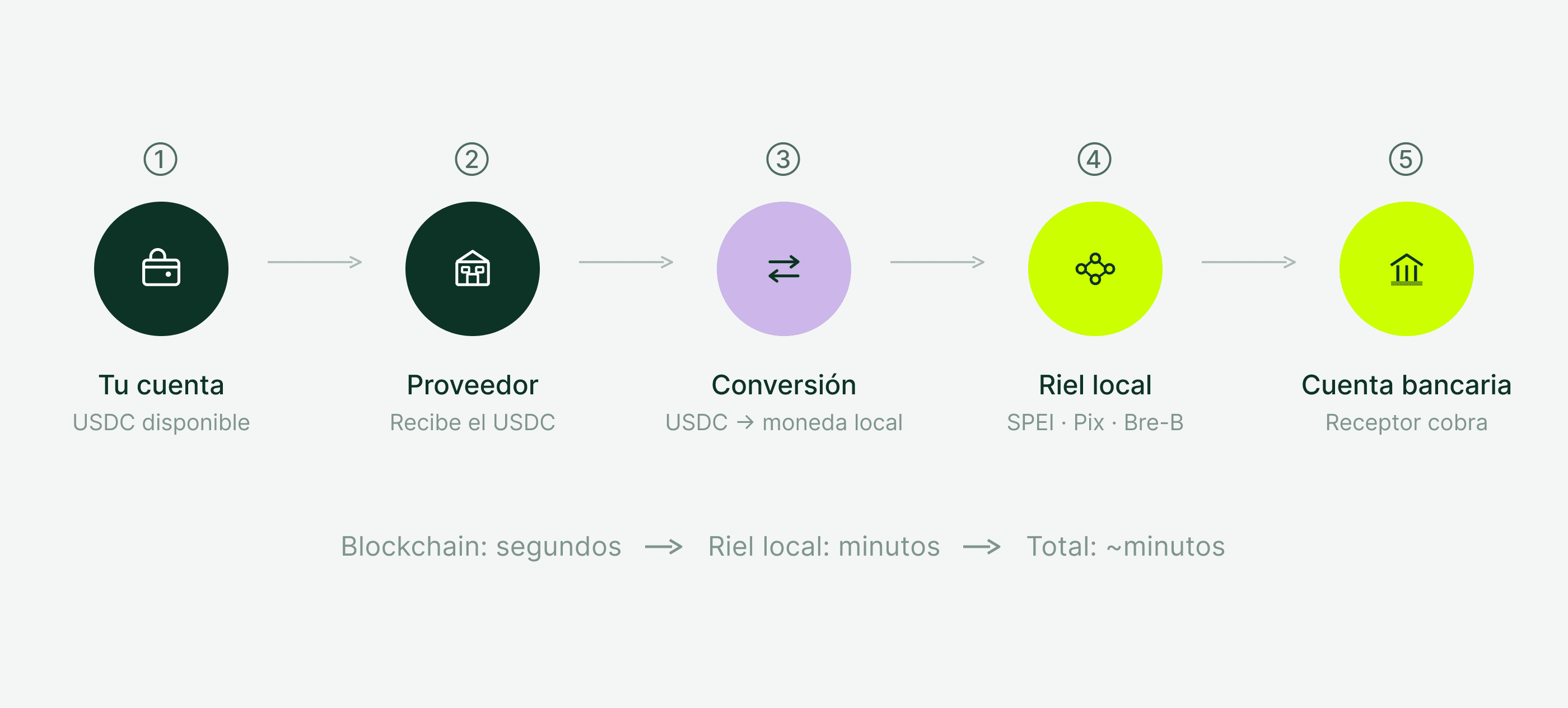 Diagrama de 5 pasos para convertir USDC a moneda local: tu cuenta, proveedor, conversión, riel local (SPEI, Pix, Bre-B) y cuenta bancaria del receptor